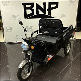Трицикл Электрический BNP Zevs ULTRA MINI