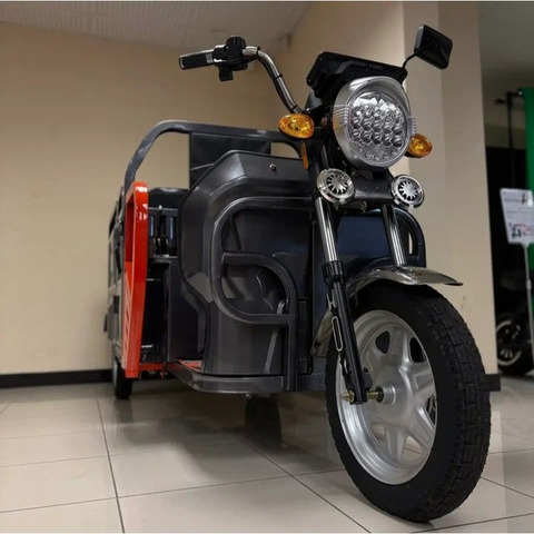 Трицикл Электрический BNP Zevs ULTRA COMBI