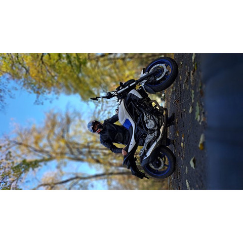 Suzuki SFV 650 Gladius, 2015, 46 700 км