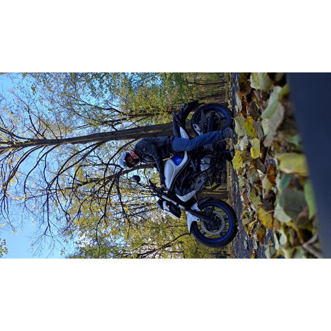 Suzuki SFV 650 Gladius, 2015, 46 700 км