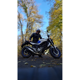 Suzuki SFV 650 Gladius, 2015, 46 700 км